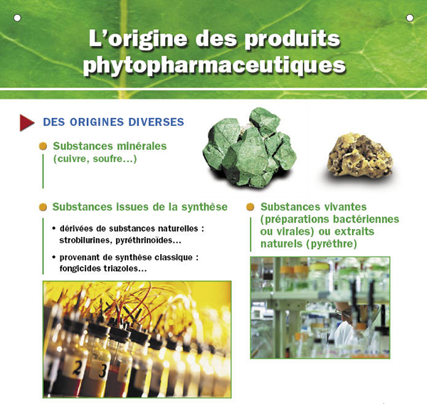 Produits phytopharmaceutiques  Protection des cultures  Substance